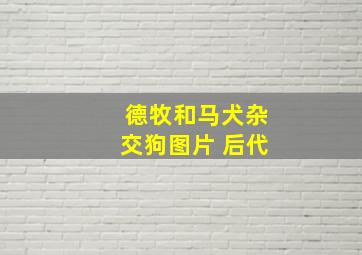 德牧和马犬杂交狗图片 后代